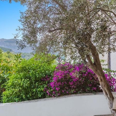 شقة Bellavista 22 Puerto de Sóller المظهر الخارجي الصورة